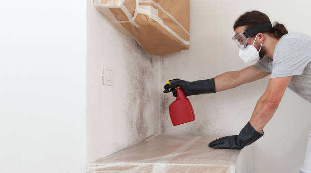 Professional Mold Testing technician working in Medford, MN